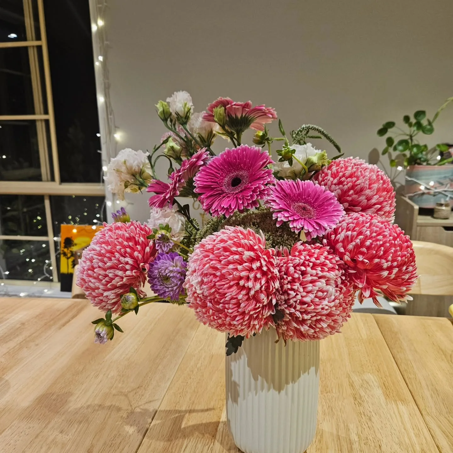 Pink chrysanthemums in a fluted white vase with warm fairy lights